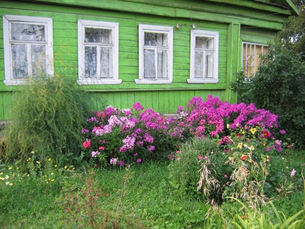 Деревенские палисадники: поездка в Углич