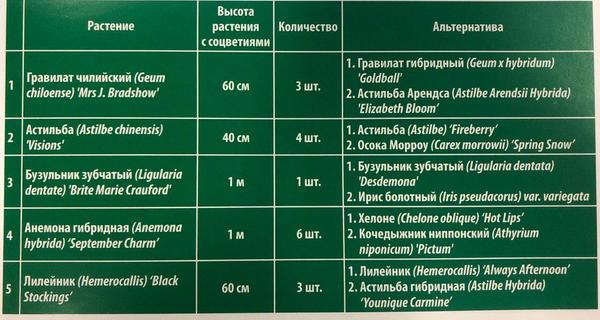 Цветник в полутени: подборка растений и схема посадки