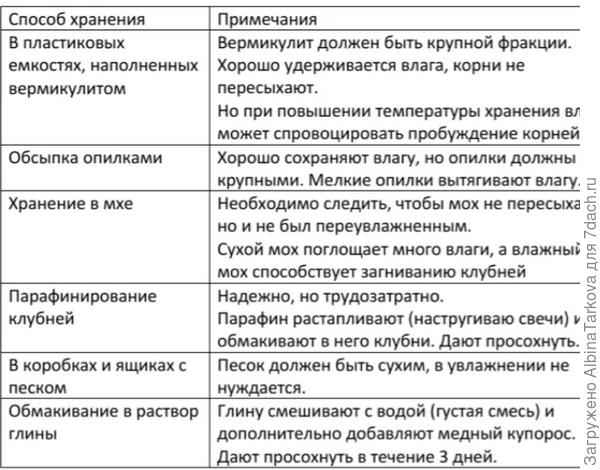 Многолетние георгины: особенности выращивания, подкормки, способы хранения