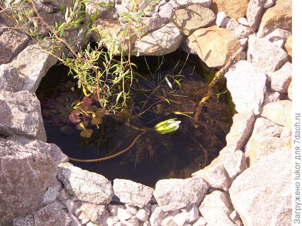 Блюдце воды как завершение сухого ручья